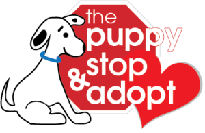 The Puppy Stop Adopt Located In Turnersville Nj